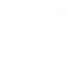 Assembly-icon